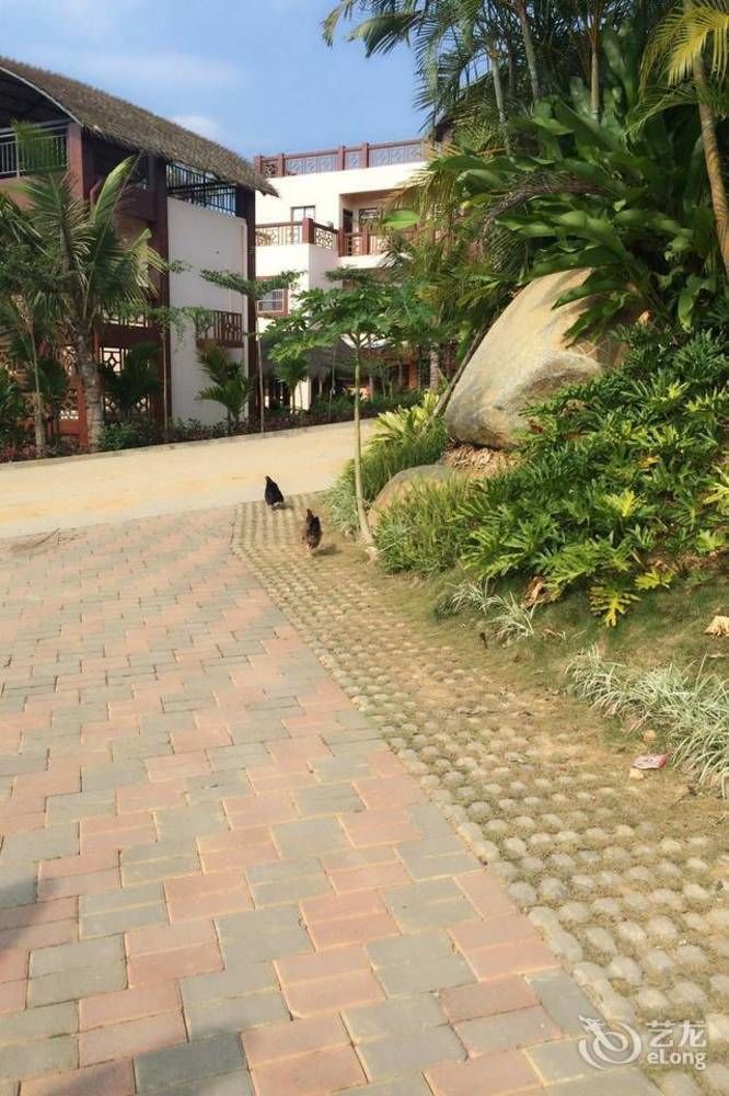 Hainan Bulongsai Resort Hotel Tien-an 外观 照片