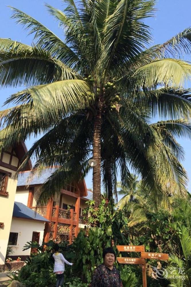 Hainan Bulongsai Resort Hotel Tien-an 外观 照片