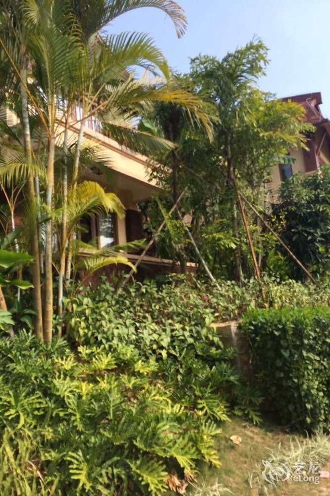 Hainan Bulongsai Resort Hotel Tien-an 外观 照片